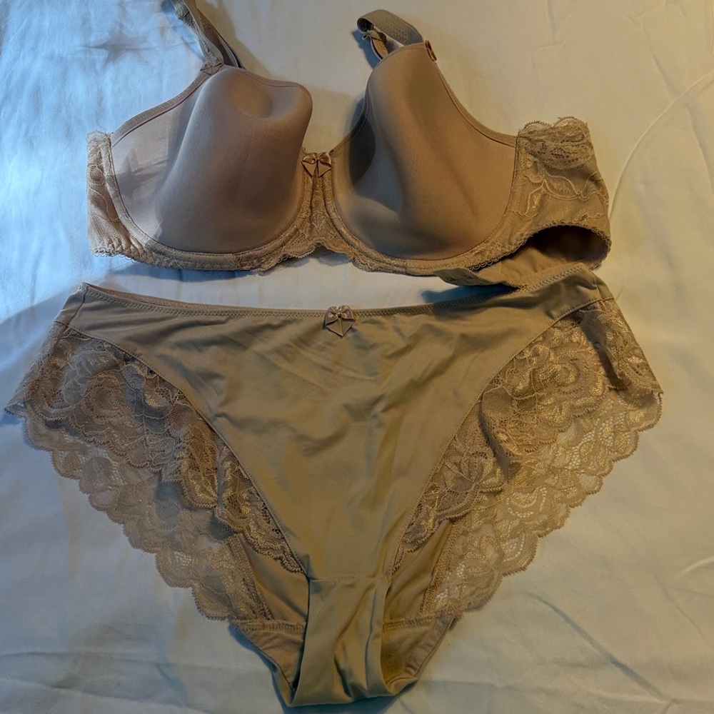 Fantasie Elegant Lace Trimmed Tan Bra set